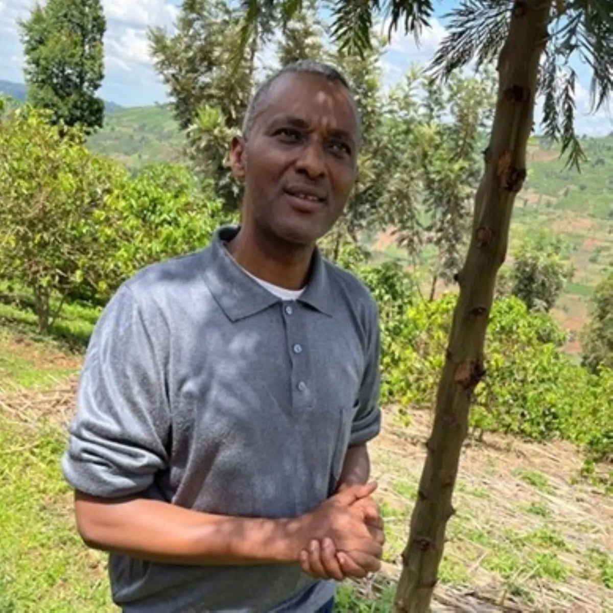 Café Taba Hills Nature Bio