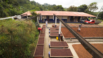 Schoenkaffee - Kolumbien - Limonada de Frutos Rojos Direct Trade