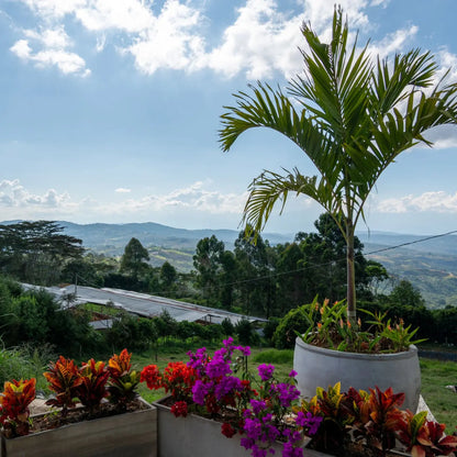 Café Altos de Bijao Estate Project Bio