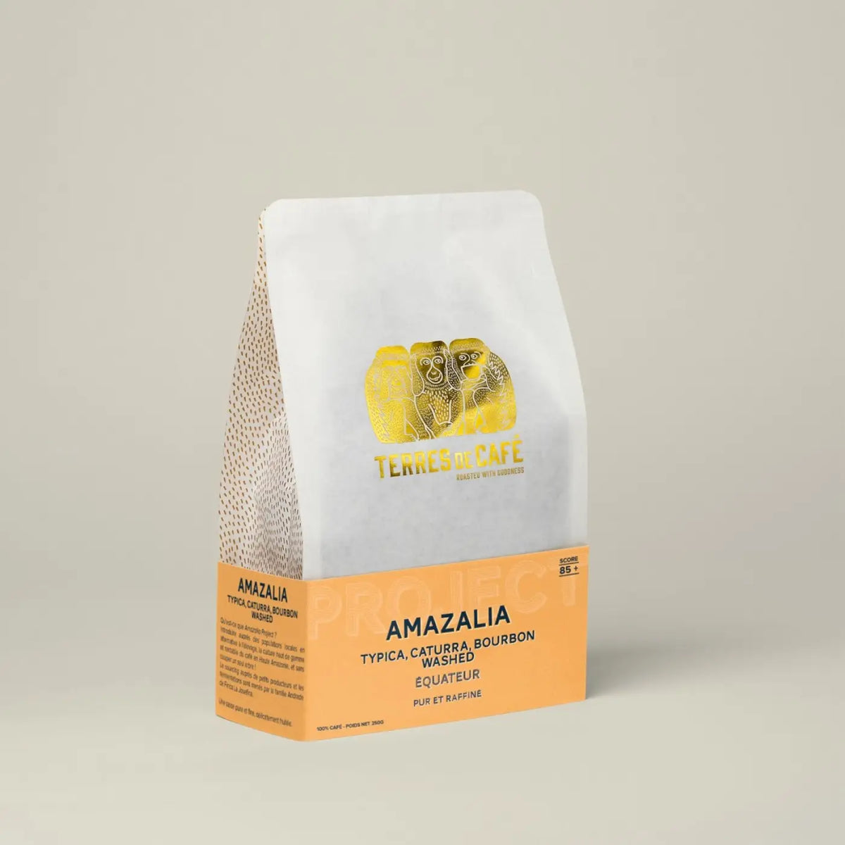 Café Amazalia