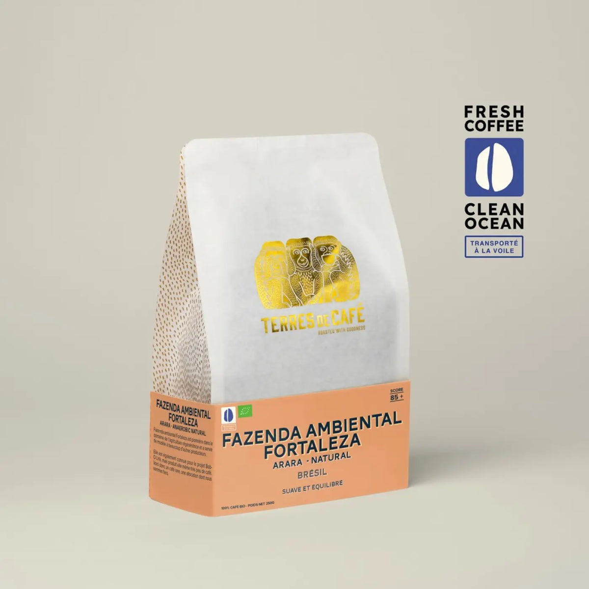 Café Fazenda Ambiental Fortaleza Arara Natural Bio