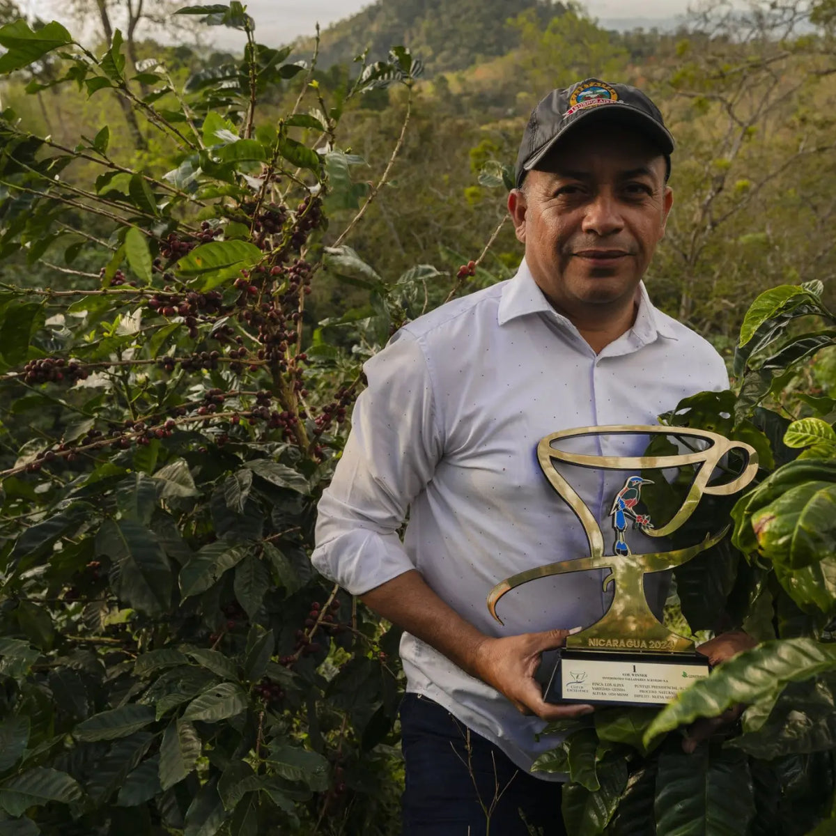 Café Finca la Laguna - Parainema Washed