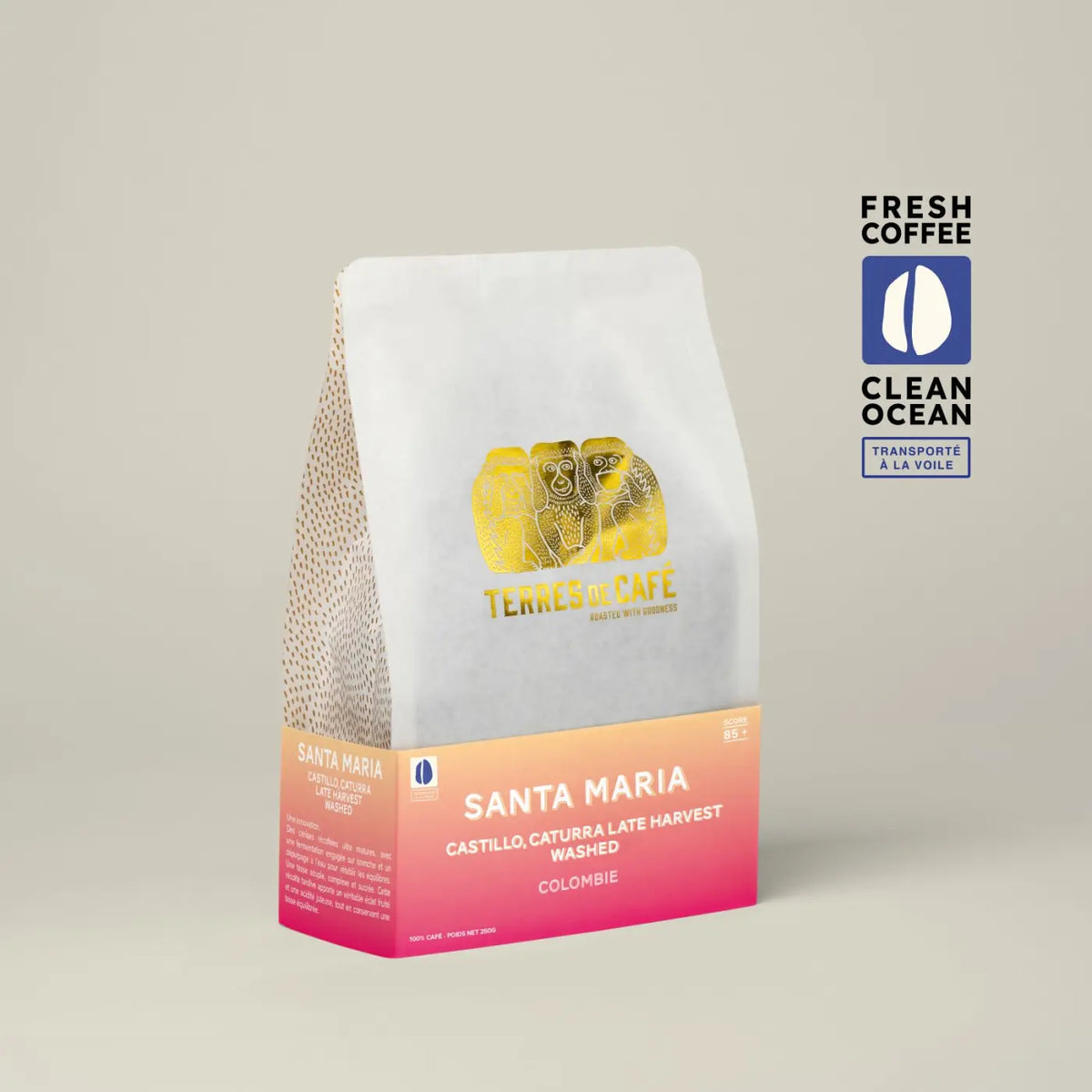 Café Finca Santa Maria - Castillo Caturra Late Harvest Washed