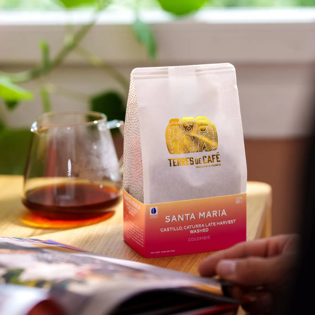 Café Finca Santa Maria - Castillo Caturra Late Harvest Washed