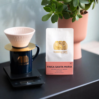 Café Finca Santa Maria - Caturra Lavé