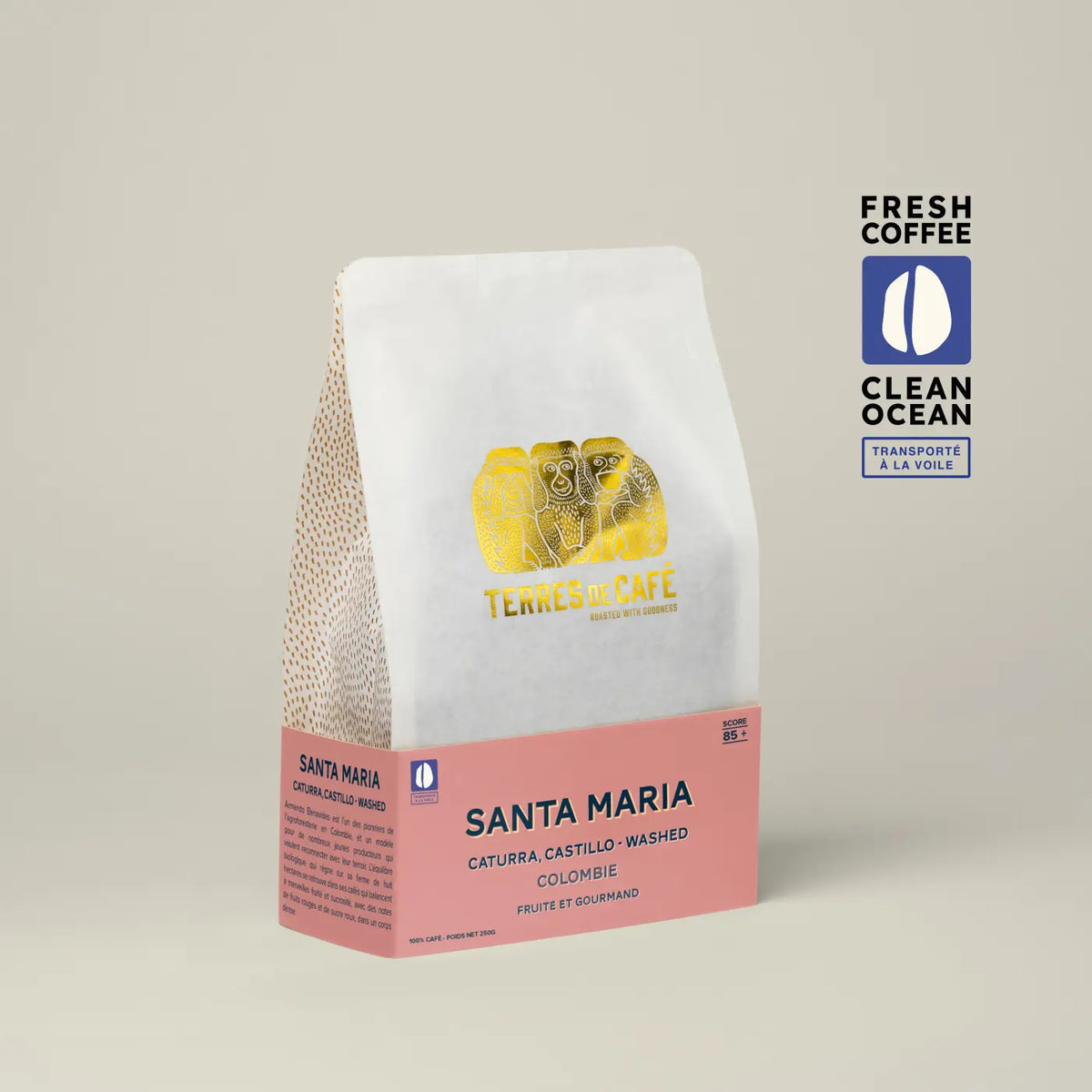 Café Finca Santa Maria - Caturra Lavé