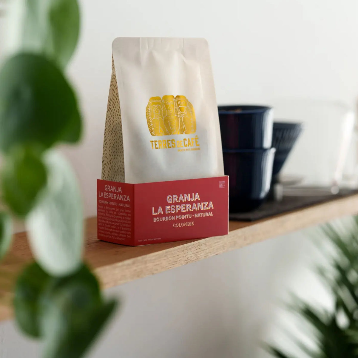 Café Granja La Esperanza - Bourbon Pointu