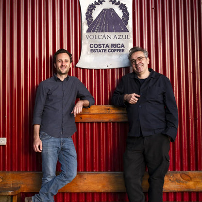 Café Volcan Azul Caturra - KG